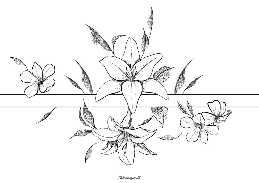 Illustration_sans_titre 132