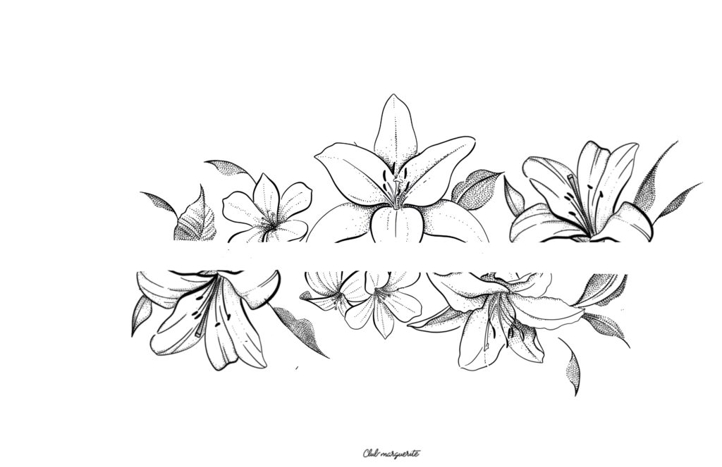 Illustration_sans_titre 134