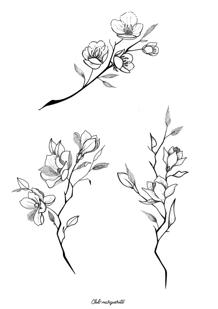 Illustration_sans_titre 137